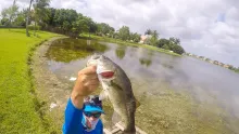 Video thumb for Bass Fishing in Florida