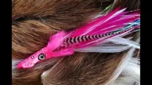 Video thumb for Squid Head Billfish Fly