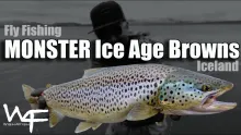 Video thumb for Monster Ice Age Browns