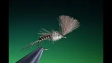 Video thumb for Large dark olive emerger