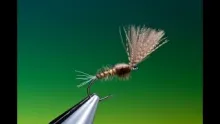 Video thumb for Shuttlecock Emerger