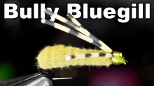 Video thumb for Bully Bluegill Fly