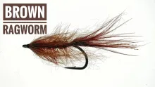 Video thumb for Brown Ragworm