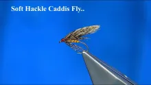 Video thumb for Soft Hackle Caddis